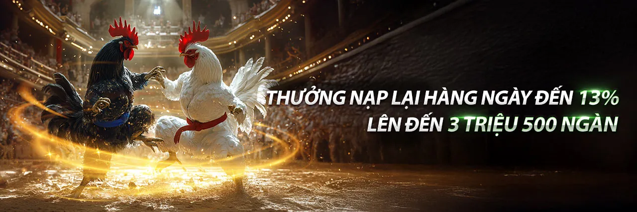 Hình ảnh chính casino xoso66 login